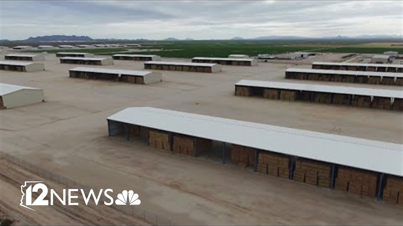Arizona Dems Finally end GOP Sweetheart Deal for Saudis to exploit Arizona Water to Feed the Kingdom's Cattle