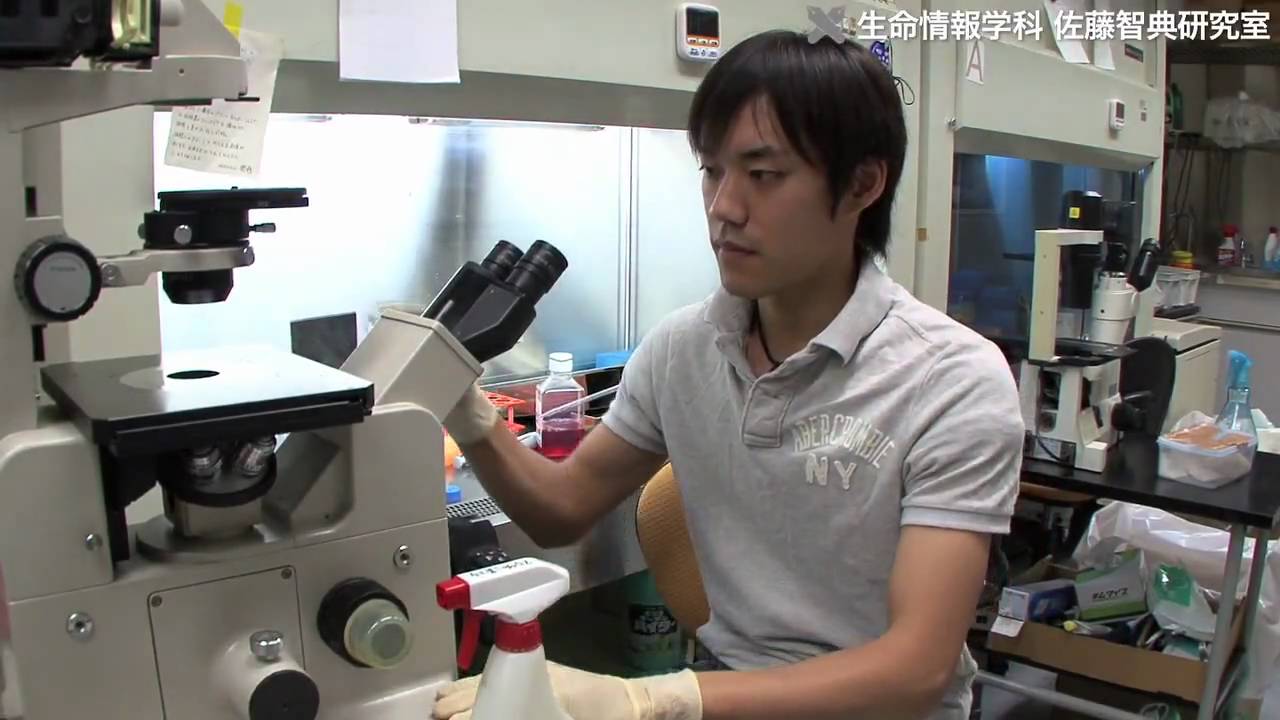 佐藤研究室 - 糖鎖機能を解析して新たな機能性分子の開発に挑戦する