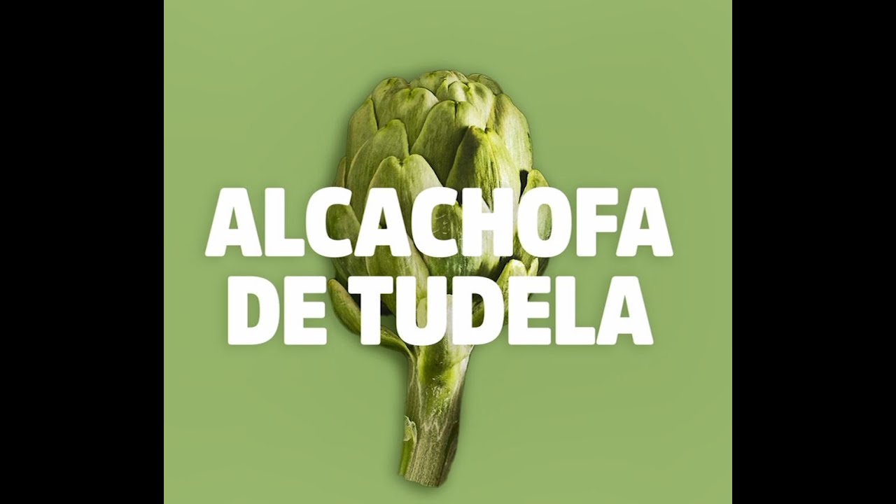 IGP Alcachofa de Tudela