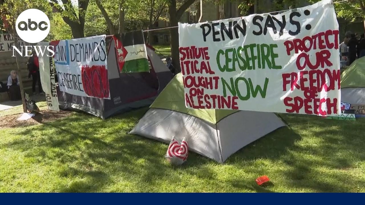 How Democratizing Universities would Supercharge the pro-Palestine Divestment Movement