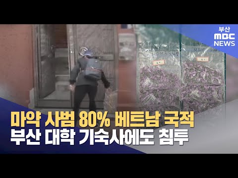 아이콘