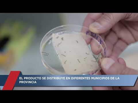 Resumen de Noticias del 20/11/2024