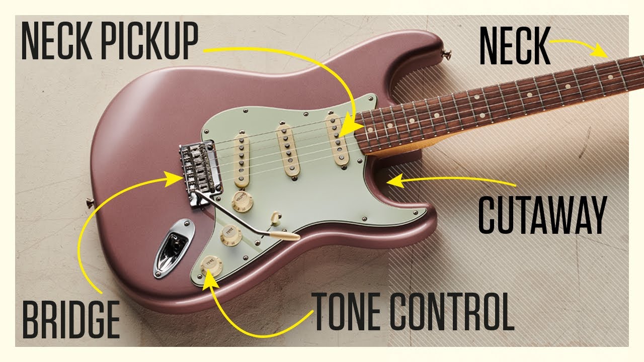 The Anatomy of an Electric Guitar: Every Guitar Part Explained! - YouTube
