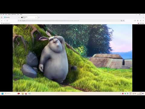 ASUSTOR Lockerstor Gen3 and Flashstor Gen2 Transcoding Guide