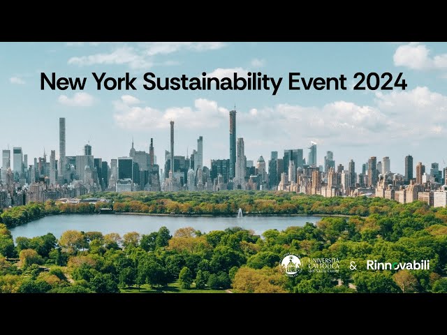 Rinnovabili TV YouTube Environmental Sustainability and Business: Trends and Macro Analysis
