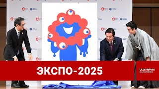 Донорлық органдарды ұзақ сақтайтын құрылғымыз әлемнің назарында