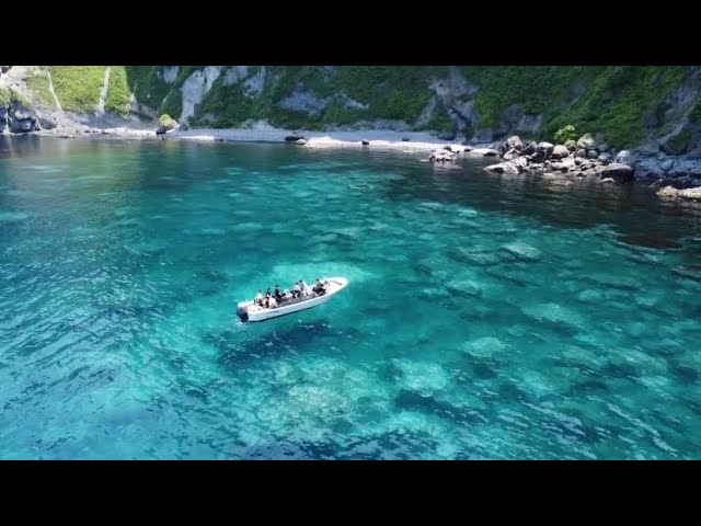 株式会社ツウセン(TUUSEN)