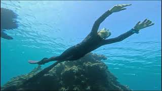 沖縄マリンサービスTI.OCEAN
