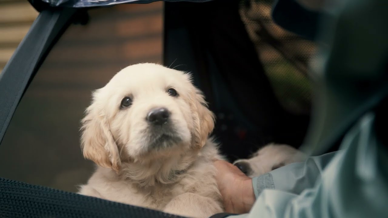 Thule Courier lifestyle video