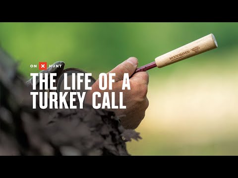 The Life of a Turkey Call