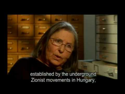 Sara Israeli