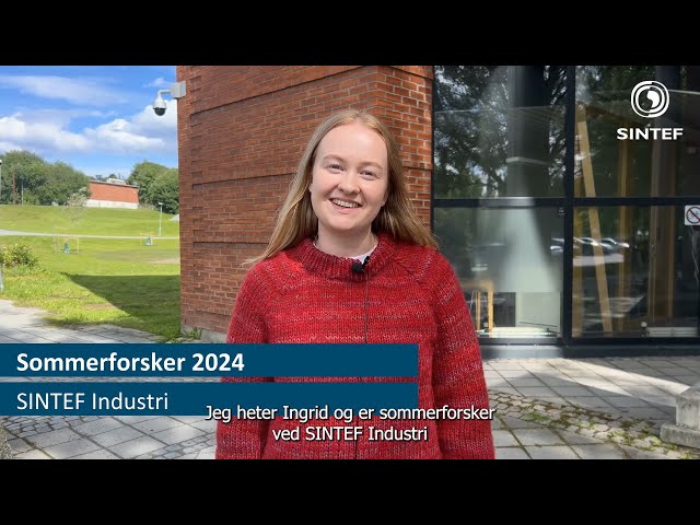 Ingrid er sommerforsker ved SINTEF Industri avdeling Anvendt geovitenskap, sommeren 2024&nbsp; 