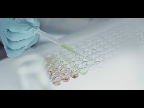 Nahrungsergänzungsmittel von Allergy Research Group (Englisch)