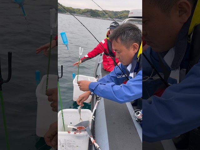 SeafariJapan合同会社