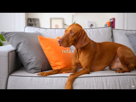 Agora® - Experience the fabric EN