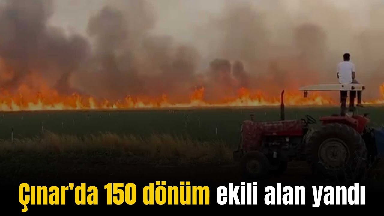 Diyarbakır Çınar’da 150 dönüm ekili alan yandı - Bismil Haber