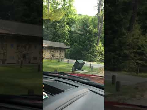 Driving tour of the campground. Part one.  The cul-de-sac.