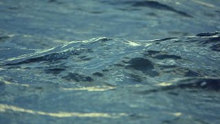 Vidéo of Waters Edge